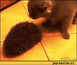 Хороша чесалка