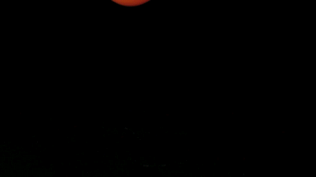 gifs_12