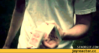 карты-ловкие-руки-гифки-трюк-390628