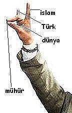 bozgurd2
