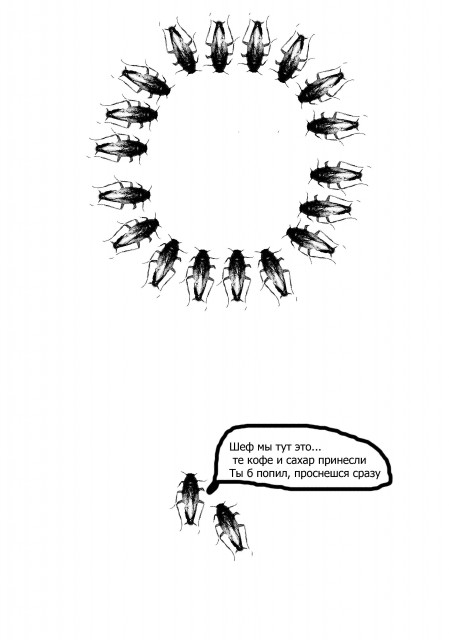 таракашыы11