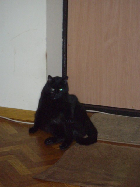IMGP3542a