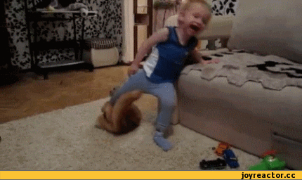 гифки-котэ-страшная-сила-в-атаку-419317