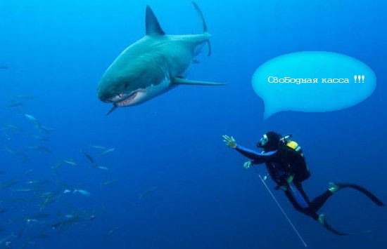 post-3-12573648158013