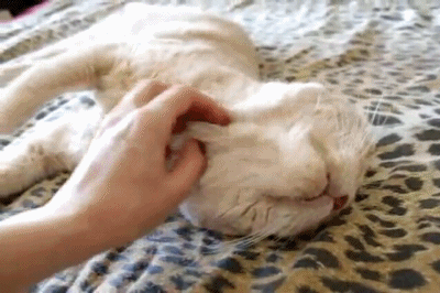 Гладь меня полностью