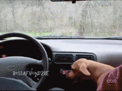 Собака-развлекака