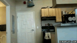 cJjRbYaCK0yHdhHwzI3Uqw2