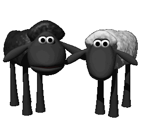 176258