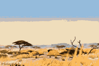 post-3-13516667881176