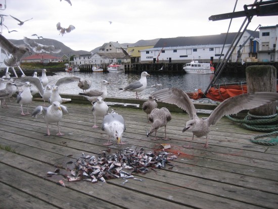 Изображение 129