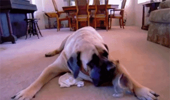 e546766c68848476606e2951a4de1d53