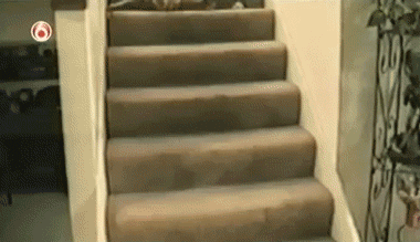 котэ