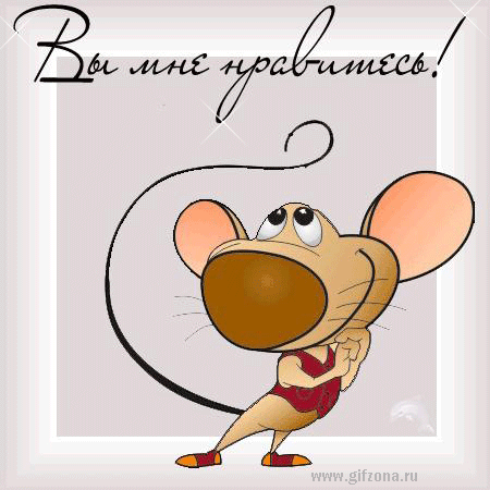 48108719_43993020_nravites