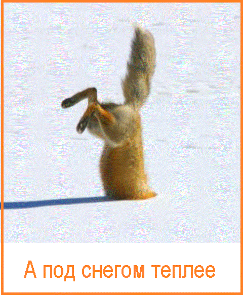 d0bbd0b8d181d0b05b35d