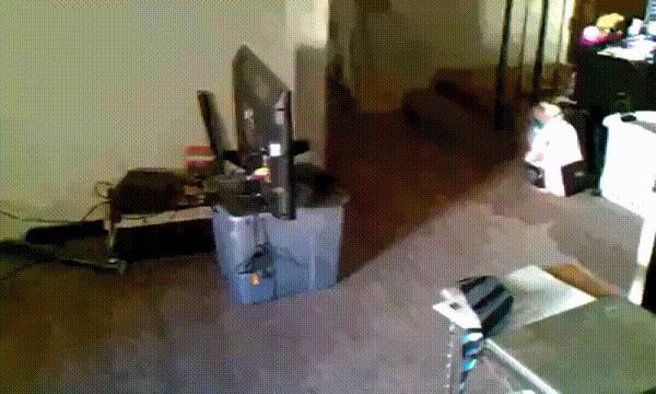 сабака