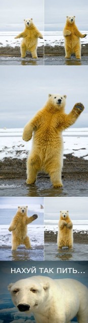 танцы танцы