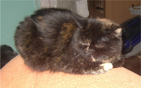 79b5fee78bdc07ad4e9eb2be2782adaf