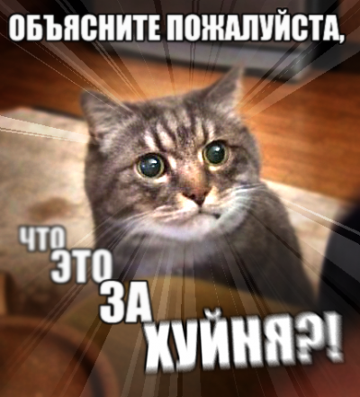 067ac9d80731aa100958de2437b2b918