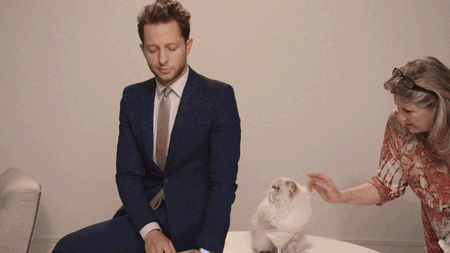 juicy-couture-cat-gif-6