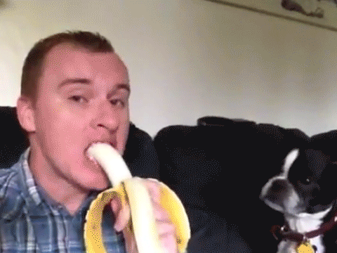 Банан катчер