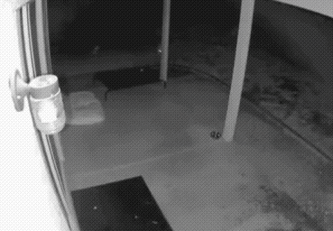 пустите меня