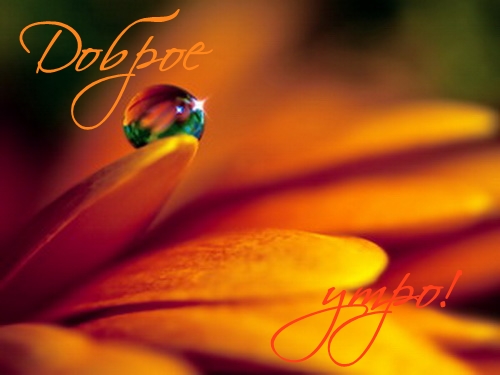 Доброе утро