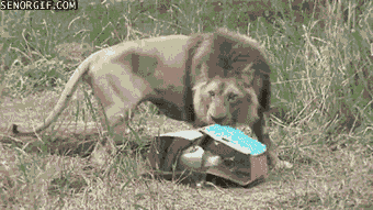 63469ec7650600bf0bd15ab11db9e7a8