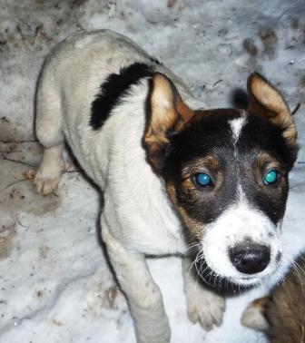 уменьшенная 3