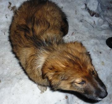 уменьшенная 5