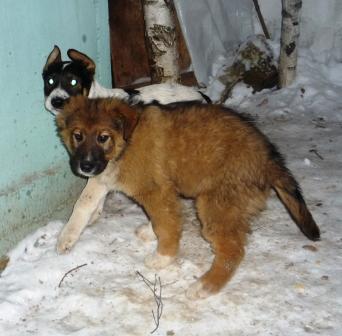 уменьшенное 1