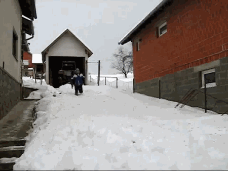 1356483564_25122012-gifki-gifki-smeshnye-gifki-gifki-kote_424951729