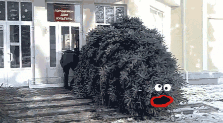 гифки-новый-год-бугага-елка-517803