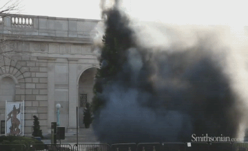 1356954495_230670520