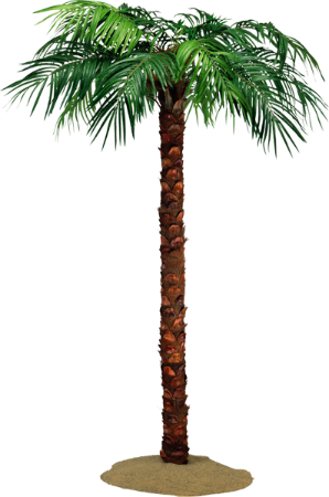 palma_yapfiles