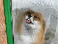 1357369107_2053017791