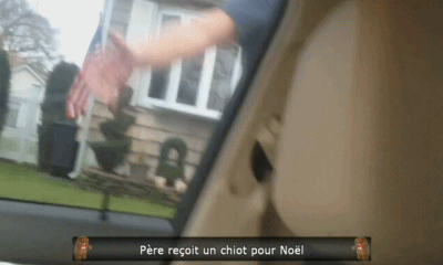 1357548510_266360841