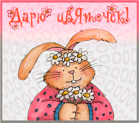 zaychik_s_romashkami