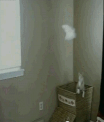 1358317122_139435475