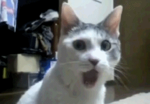 gifs_17
