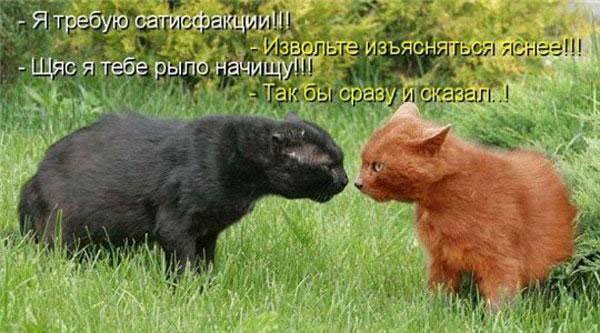 1254669146_1254472465_36