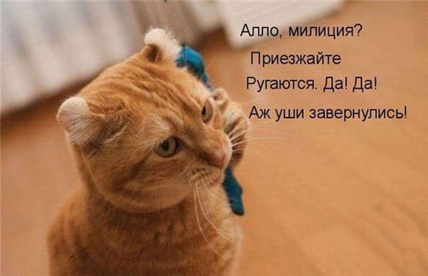 1254669099_1254472464_39