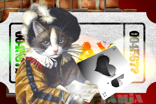 Без-имени-1-cat