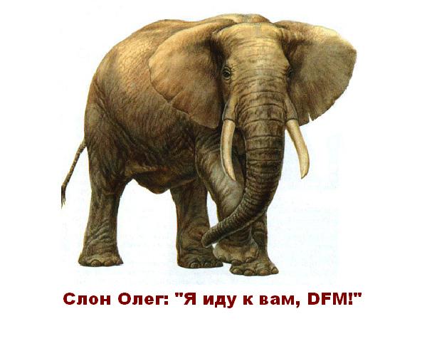 Слон Олег