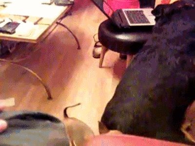 1358958436_2113398732