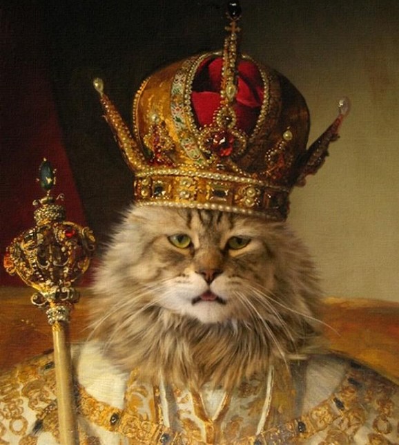 69442931_rege_1238149354