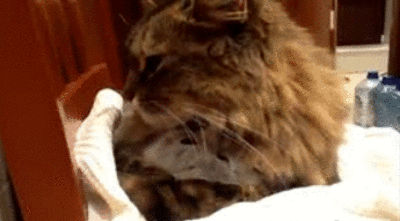 Под маминой защитой