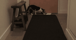 1360210882_2111415505