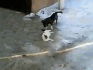 1360297229_1218685195