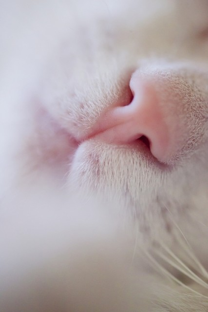 tumblr_m79q02YWkk1qjev1to1_500