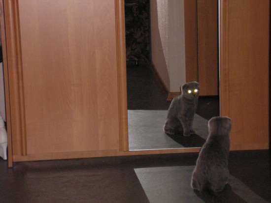 Переключись с дальнего света